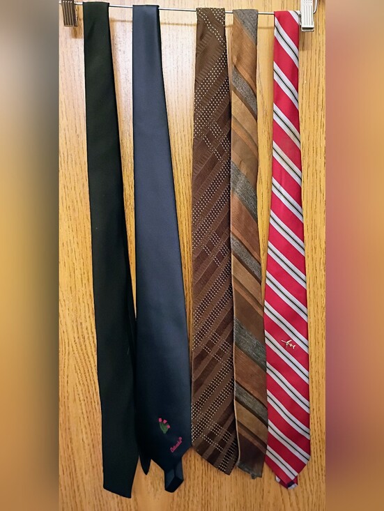 Other - Set of Five Men's Vintage Neckties in Black, Navy, Brown & Red Stripes